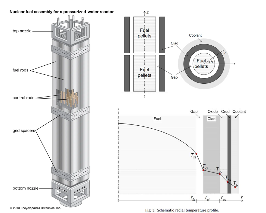 Fuel rod thermomechanical analysis